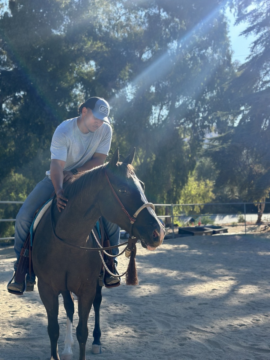 A rider on horseback in the arena at QSC Ranch
